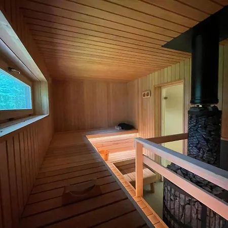 Moisa Saun Holiday home Sikana