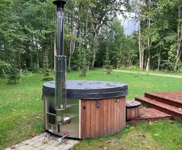 בית נופש Moisa Saun