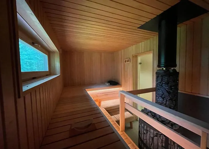 Moisa Saun בית נופש Sikana