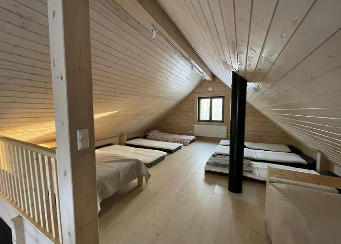 Moisa Saun בית נופש